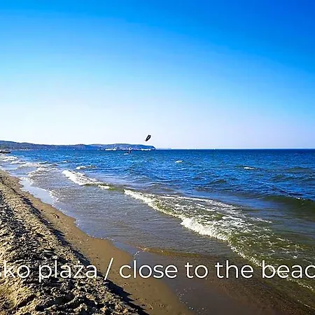 Zamorski By The Sea